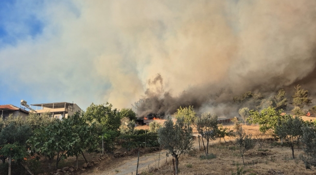 Aliağa’da Korkutan Yangın! Alevler Kontrol Altında, Sorumlu Gözaltında