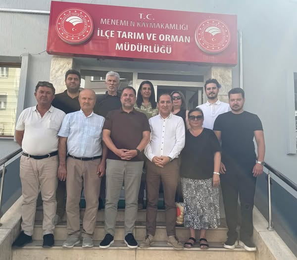 Güncel
