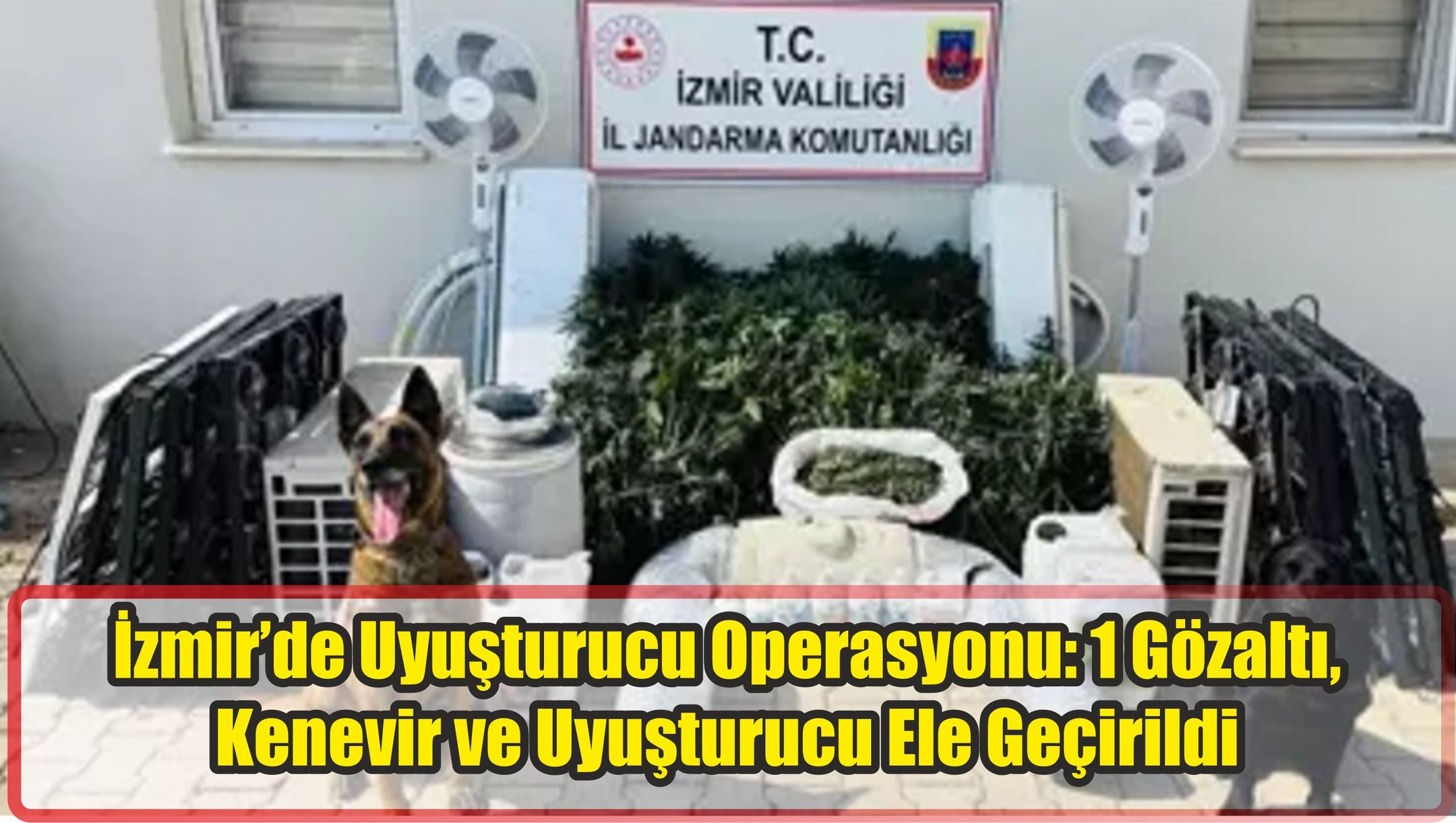Güncel