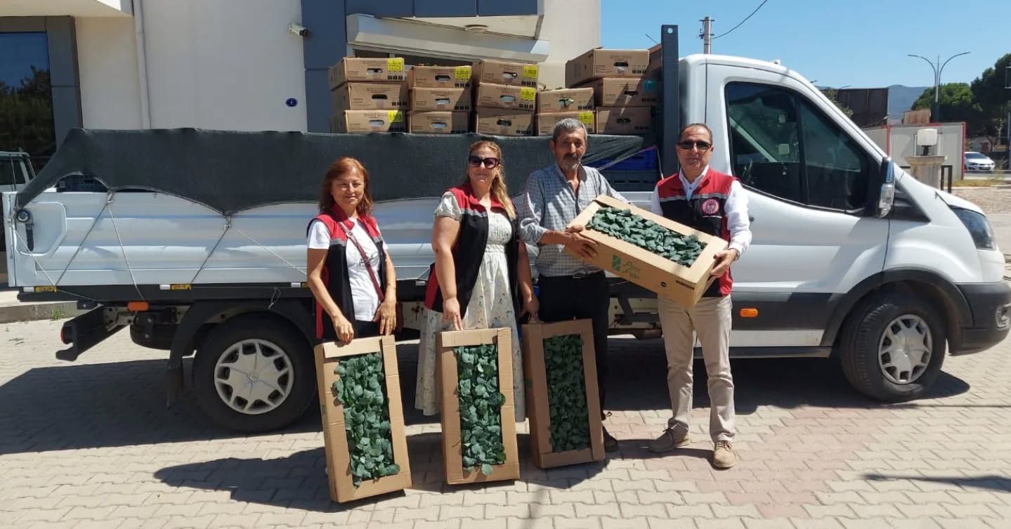 Güncel