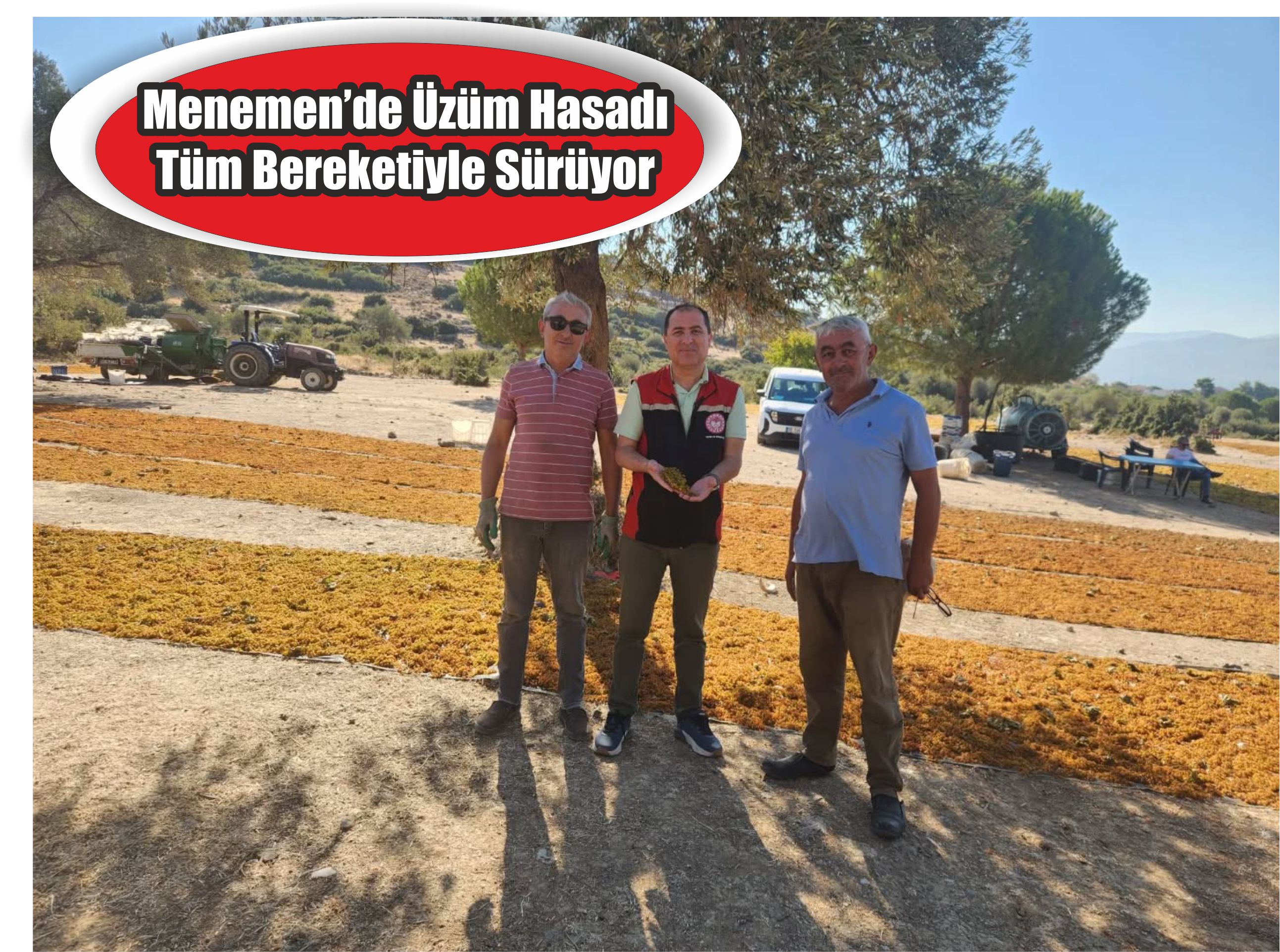 Menemen’de Üzüm Hasadı Tüm Bereketiyle Sürüyor