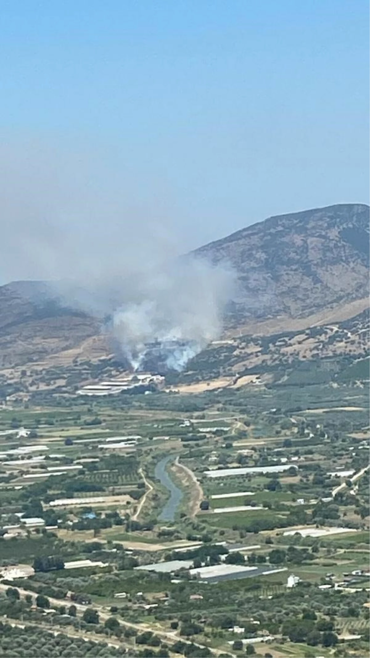 İzmir'de orman yangını